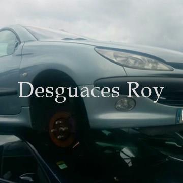 Peugeot 206 2.0Hdi - Imagen 1