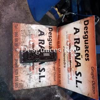 POLO CLASSIC - Imagen 2